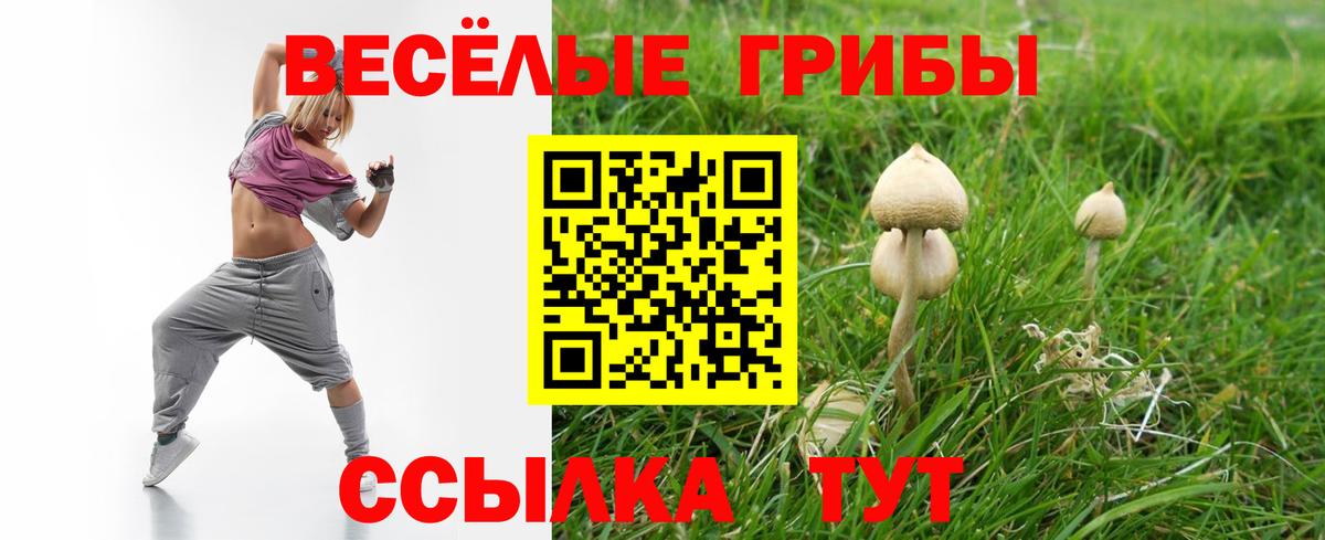 Люберцы  Галлюциногенные грибы мицелий  Вход с VPN 
