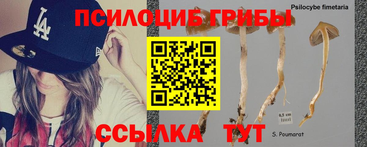 Галлюциногенные грибы мухоморы Люберцы
